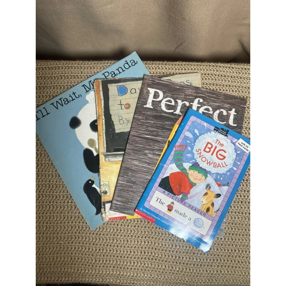 Kids Book Bundle of 4 Kindergarten Early Reader David Goes to School Mr Panda